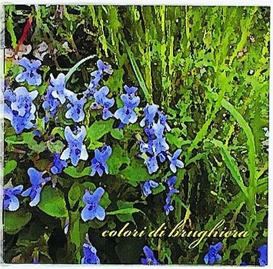 Copertina del CD Colori di brughiera, 2010