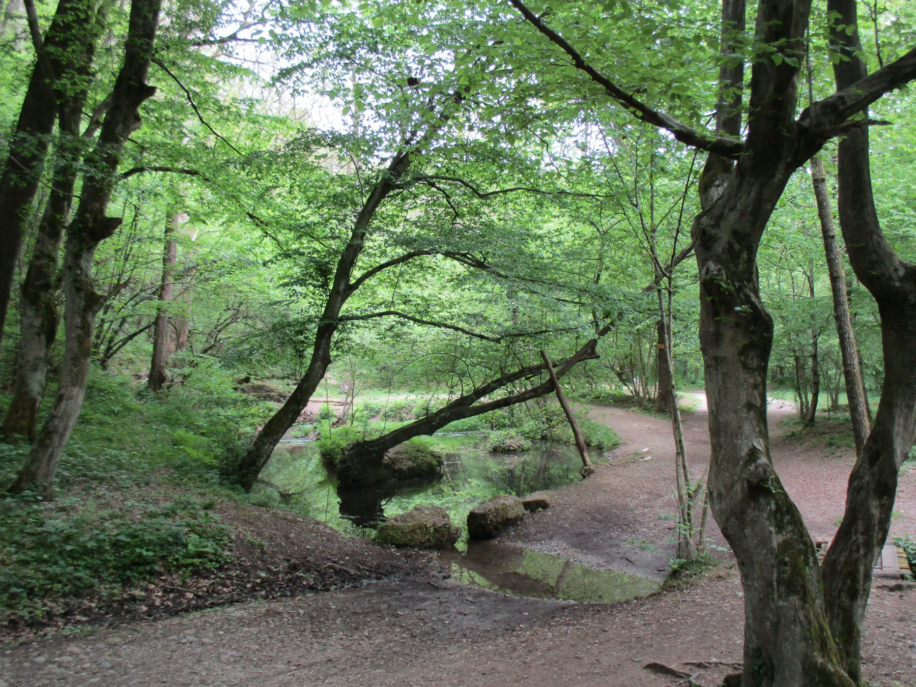Paesaggio del Parco della Brughiera Briantea, Fontana del Guercio